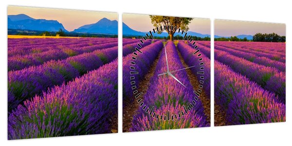 Obraz - Pole lawendy (z zegarem) (90x30 cm)