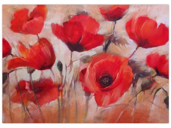 Obraz - Wilcze maki (70x50 cm)