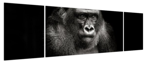 Obraz - Goryl (170x50 cm)