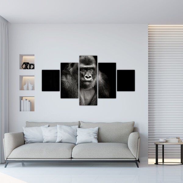 Obraz - Goryl (125x70 cm)