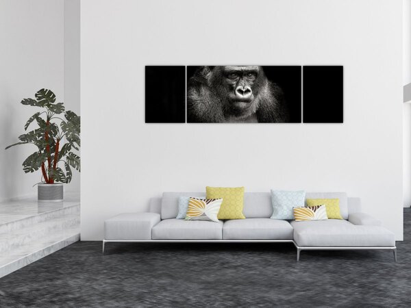 Obraz - Goryl (170x50 cm)