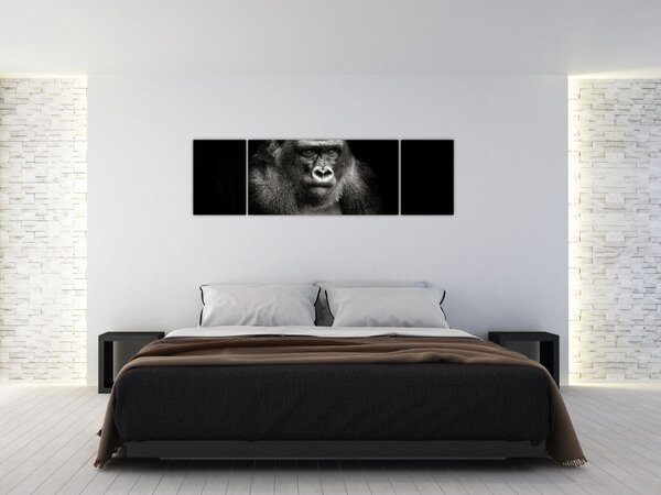 Obraz - Goryl (170x50 cm)