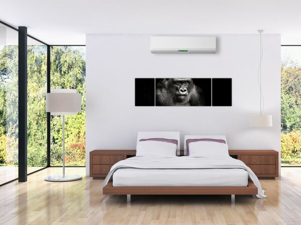Obraz - Goryl (170x50 cm)
