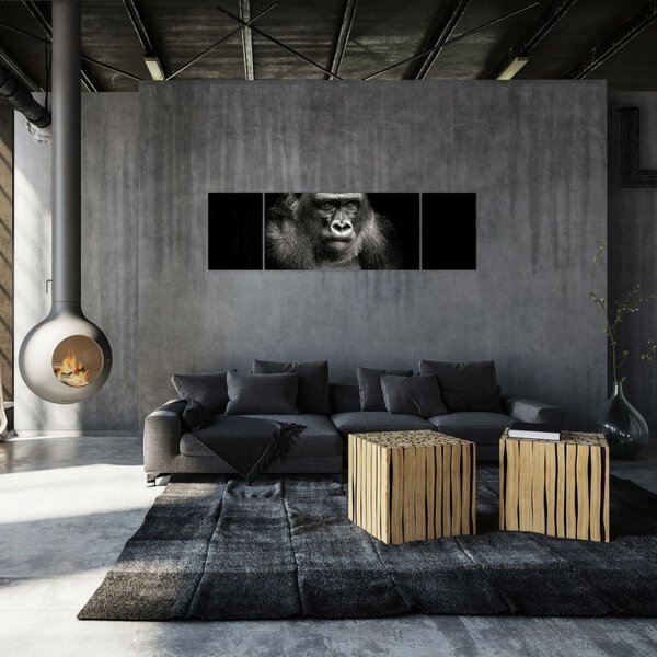 Obraz - Goryl (170x50 cm)