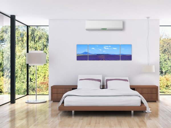 Obraz - Pole lawendy (170x50 cm)