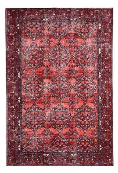 Czerwony dywan Floorita Bosforo, 80x150 cm