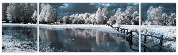 Obraz - Zamarznięty krajobraz (170x50 cm)