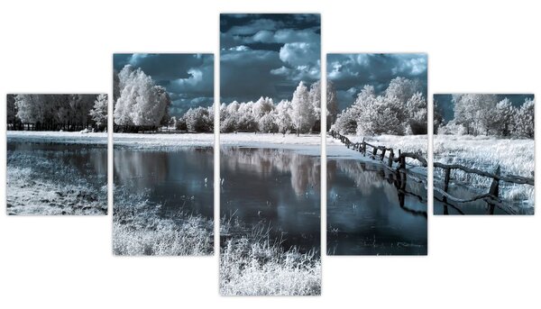 Obraz - Zamarznięty krajobraz (125x70 cm)