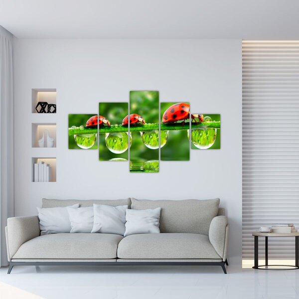 Obraz - Sunshine of the Seven Suns (125x70 cm)