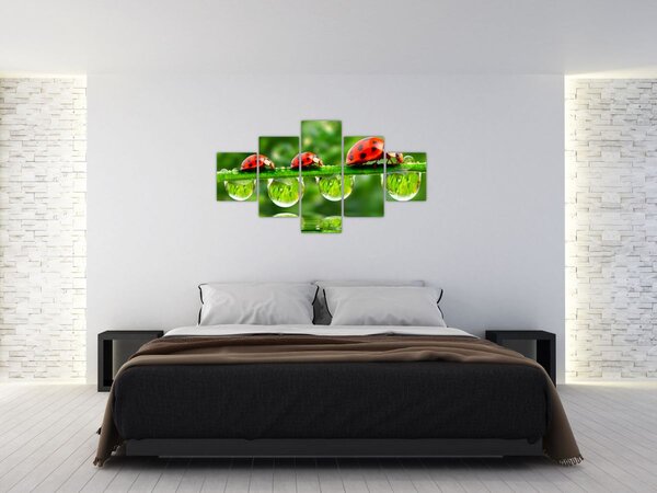 Obraz - Sunshine of the Seven Suns (125x70 cm)