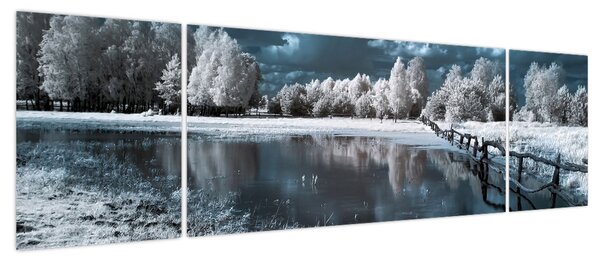 Obraz - Zamarznięty krajobraz (170x50 cm)