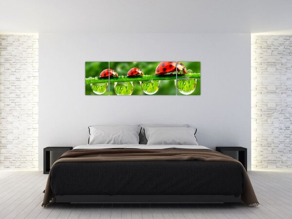 Obraz - Sunshine of the Seven Suns (170x50 cm)