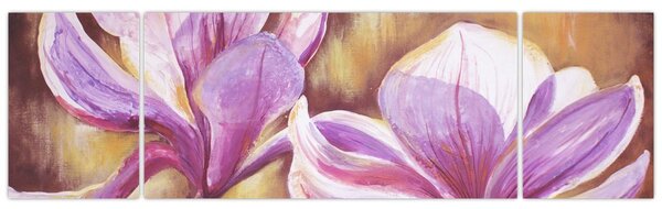 Obraz - Kwiaty magnolii (170x50 cm)