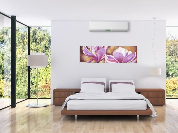 Obraz - Kwiaty magnolii (170x50 cm)