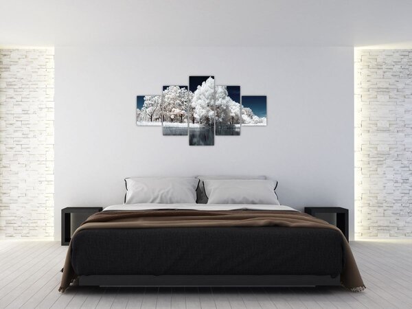Obraz - Śnieżnobiałe drzewa (125x70 cm)