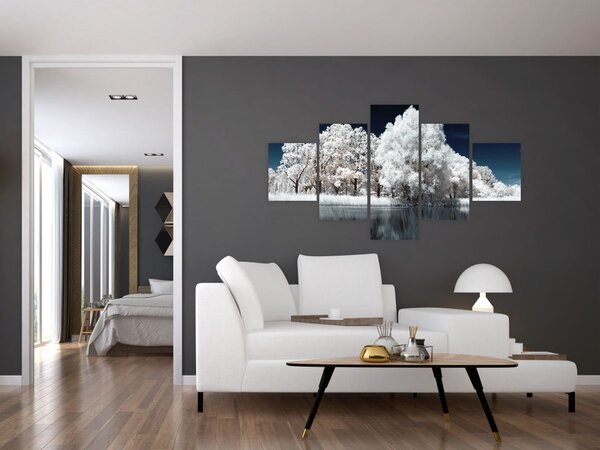 Obraz - Śnieżnobiałe drzewa (125x70 cm)