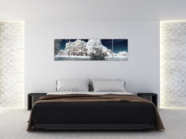Obraz - Śnieżnobiałe drzewa (170x50 cm)