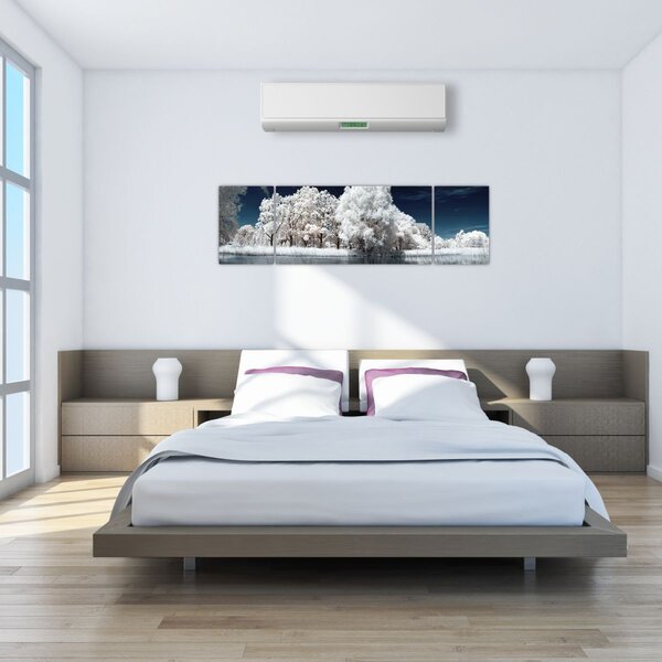Obraz - Śnieżnobiałe drzewa (170x50 cm)