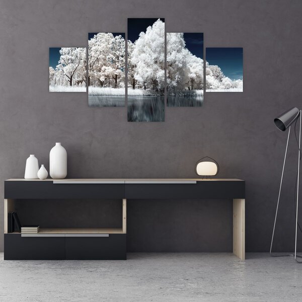 Obraz - Śnieżnobiałe drzewa (125x70 cm)