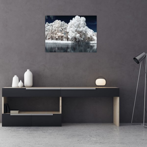 Obraz - Śnieżnobiałe drzewa (70x50 cm)