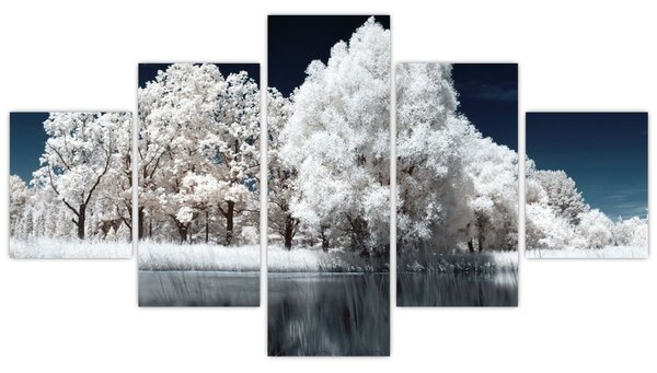 Obraz - Śnieżnobiałe drzewa (125x70 cm)