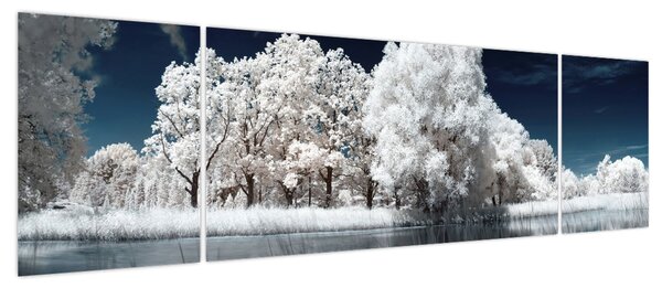 Obraz - Śnieżnobiałe drzewa (170x50 cm)