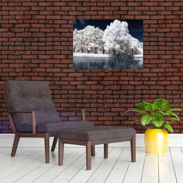Obraz - Śnieżnobiałe drzewa (70x50 cm)