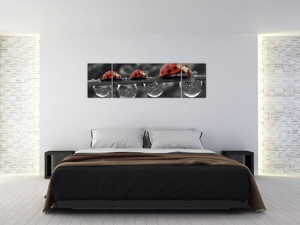 Obraz - Słonecznik, czarno-biały (170x50 cm)