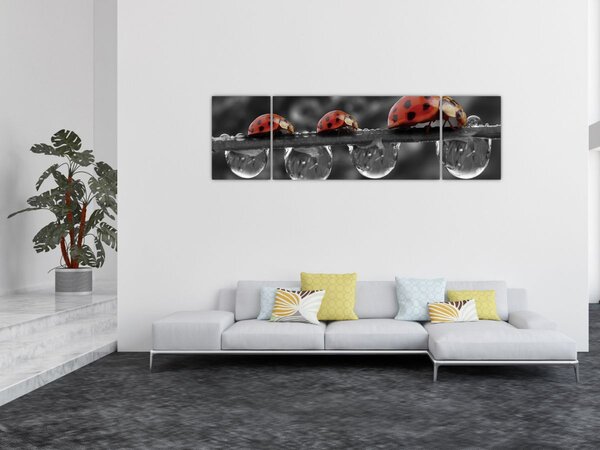 Obraz - Słonecznik, czarno-biały (170x50 cm)