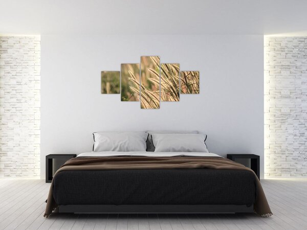 Obraz - Ziarno (125x70 cm)