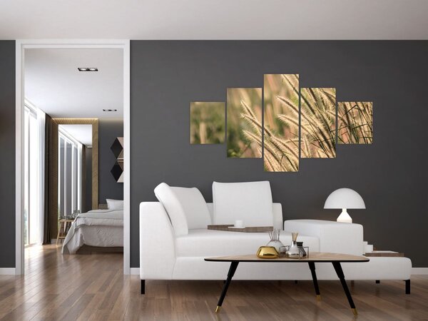 Obraz - Ziarno (125x70 cm)