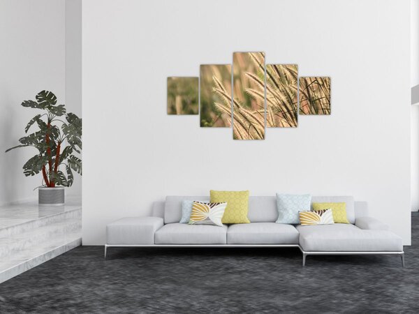 Obraz - Ziarno (125x70 cm)