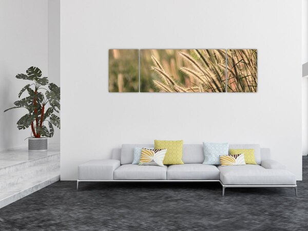 Obraz - Ziarno (170x50 cm)