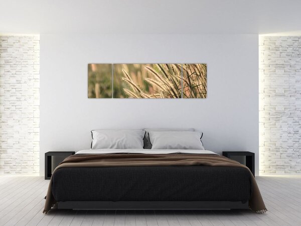 Obraz - Ziarno (170x50 cm)
