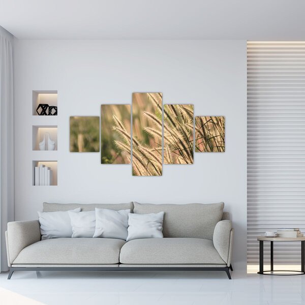 Obraz - Ziarno (125x70 cm)