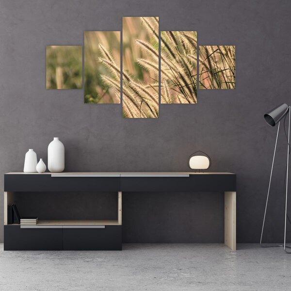 Obraz - Ziarno (125x70 cm)