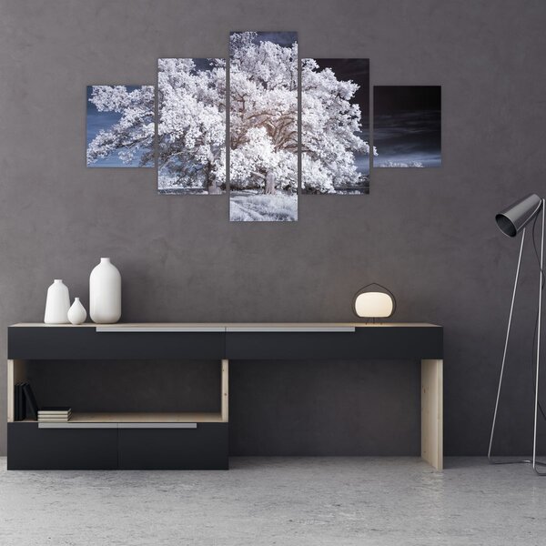 Obraz - Śnieżnobiałe drzewo (125x70 cm)