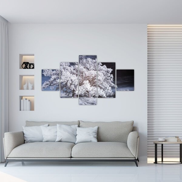 Obraz - Śnieżnobiałe drzewo (125x70 cm)