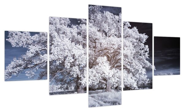 Obraz - Śnieżnobiałe drzewo (125x70 cm)