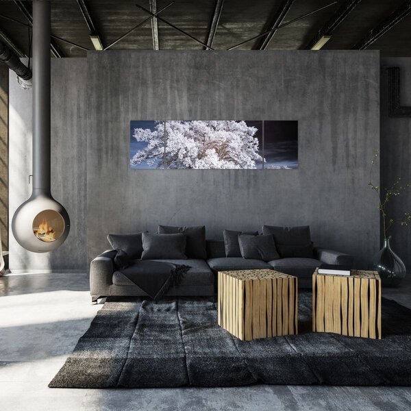 Obraz - Śnieżnobiałe drzewo (170x50 cm)