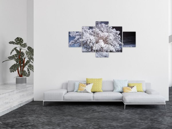 Obraz - Śnieżnobiałe drzewo (125x70 cm)