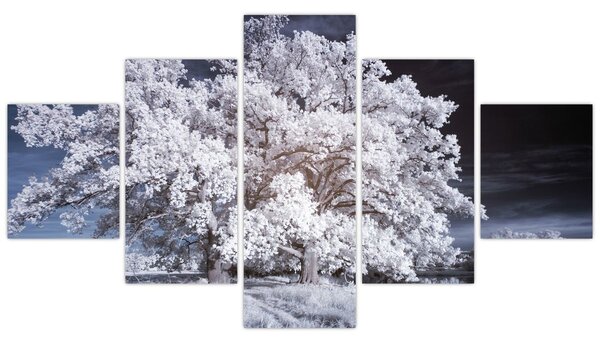 Obraz - Śnieżnobiałe drzewo (125x70 cm)