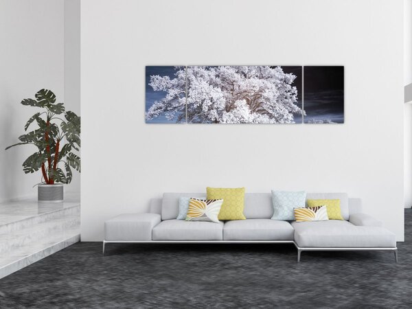 Obraz - Śnieżnobiałe drzewo (170x50 cm)