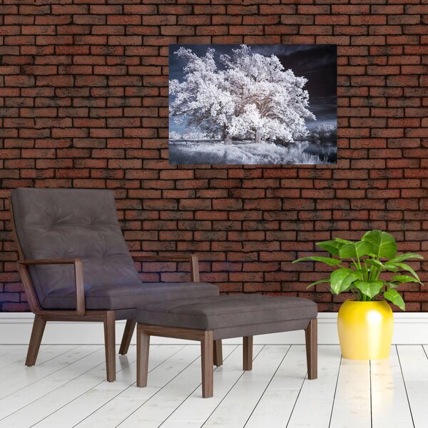 Obraz - Śnieżnobiałe drzewo (70x50 cm)