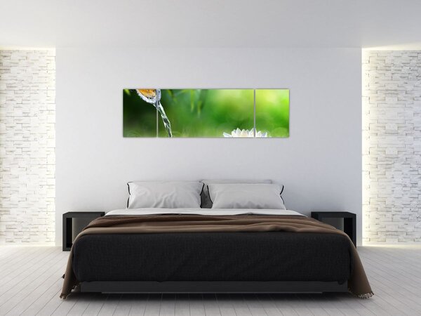 Obraz - Lotos (170x50 cm)
