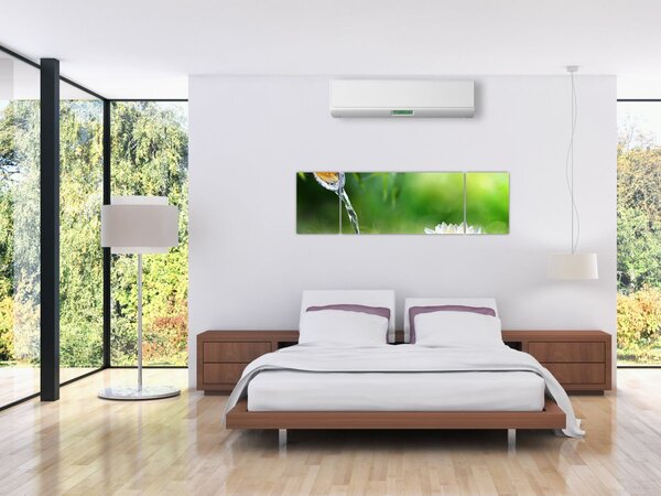 Obraz - Lotos (170x50 cm)