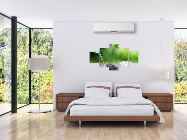 Obraz - Lotos (125x70 cm)