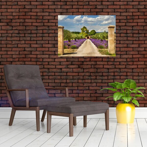 Obraz - Lawendowe ścieżki (70x50 cm)