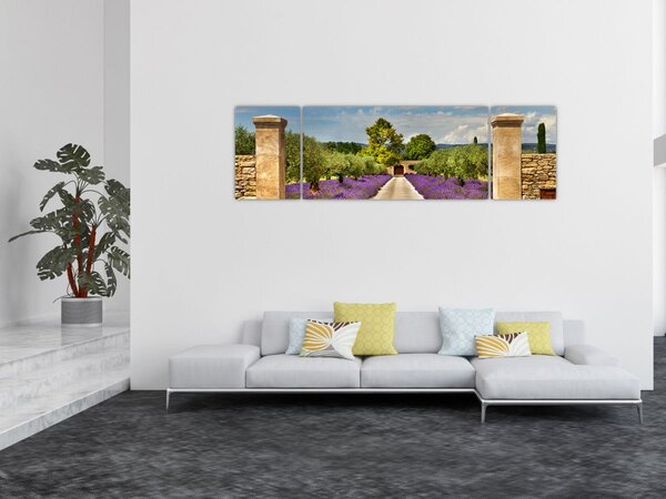 Obraz - Lawendowe ścieżki (170x50 cm)