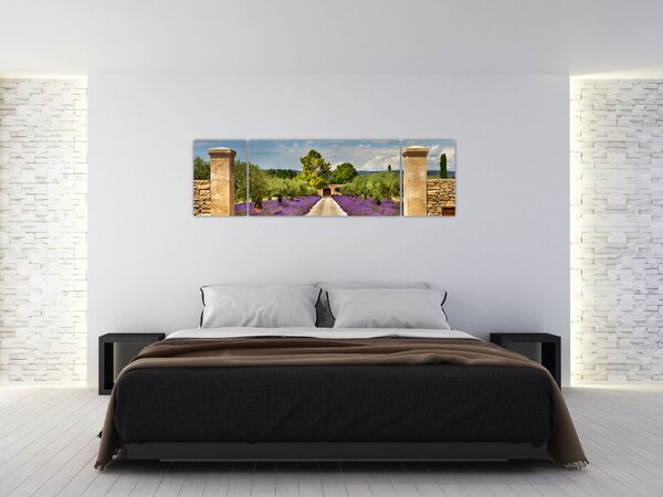 Obraz - Lawendowe ścieżki (170x50 cm)